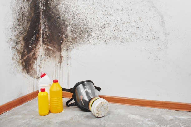 Best Crawl Space Mold Removal  in Midland, PA