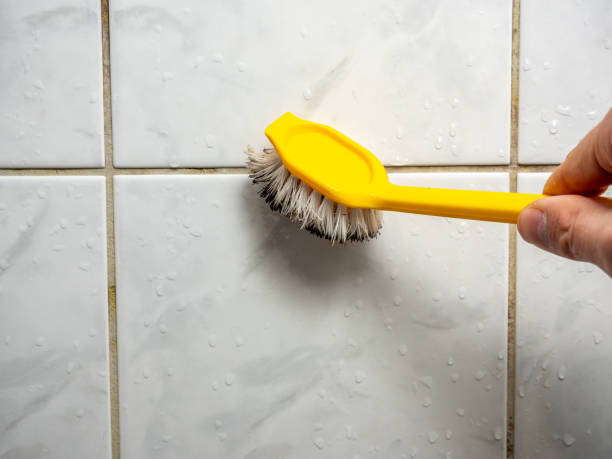 Best Professional Mold Removal  in Midland, PA