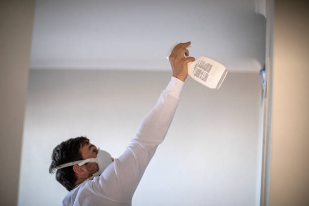 Best Mold Removal Near Me  in Midland, PA