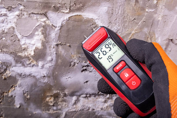 Best Crawl Space Mold Removal  in Midland, PA