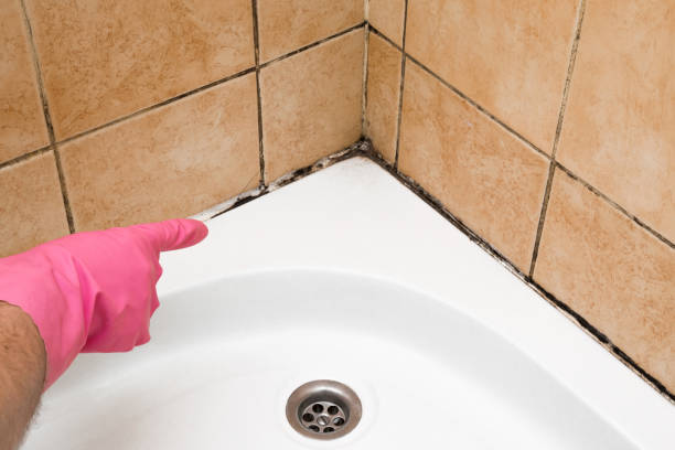 Best Mold Testing  in Midland, PA